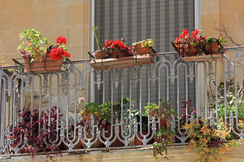 98-Lecce,26 aprile 2013.JPG